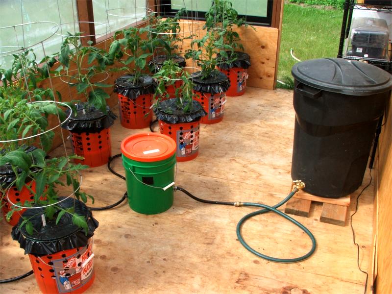Self Watering Container Garden System – Eco Snippets