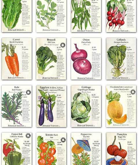 Understanding Heirloom Vegetables – Eco Snippets