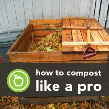 How To Make Your Own Compost Like A Pro