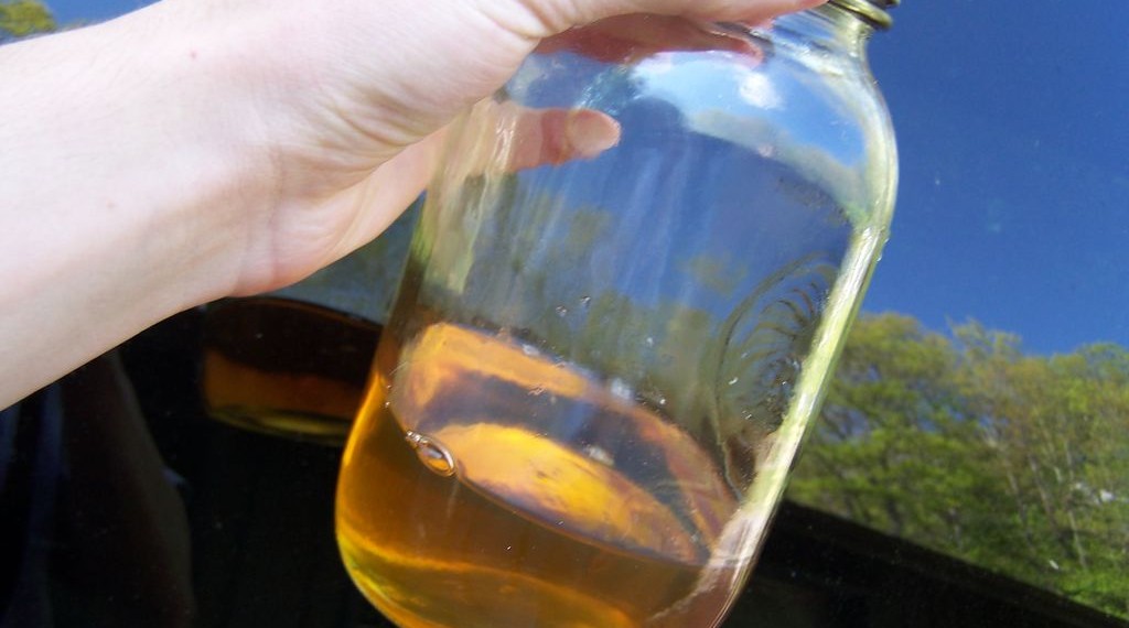 Using An Appleseed Processor To Make Biodiesel – Eco Snippets