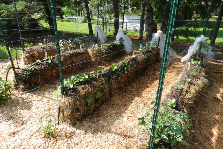 Straw Bale Gardening 101 - How To Grow Food With Less Work...