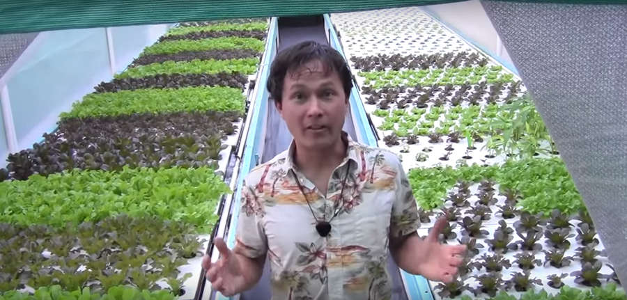 You Could Gross $6k+ Per Month With A Backyard Urban Aquaponics Farm Like This...