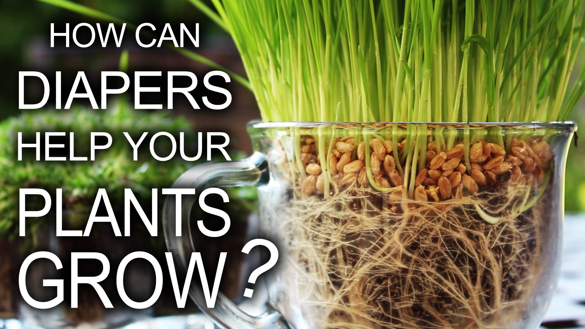 Diapers Can Help Your Plants Grow In A Whole Number Of Ways...