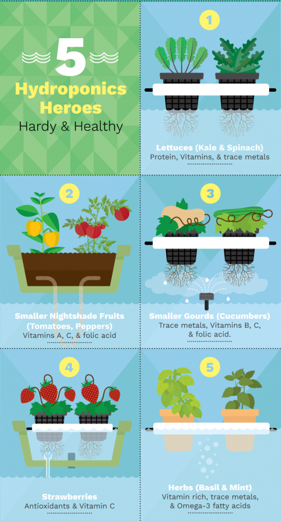 6 Different Hydroponic Gardening Systems For Growing Food...