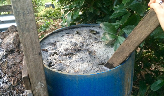 Comfrey Tea, A Simple Homemade Natural Fertiliser...