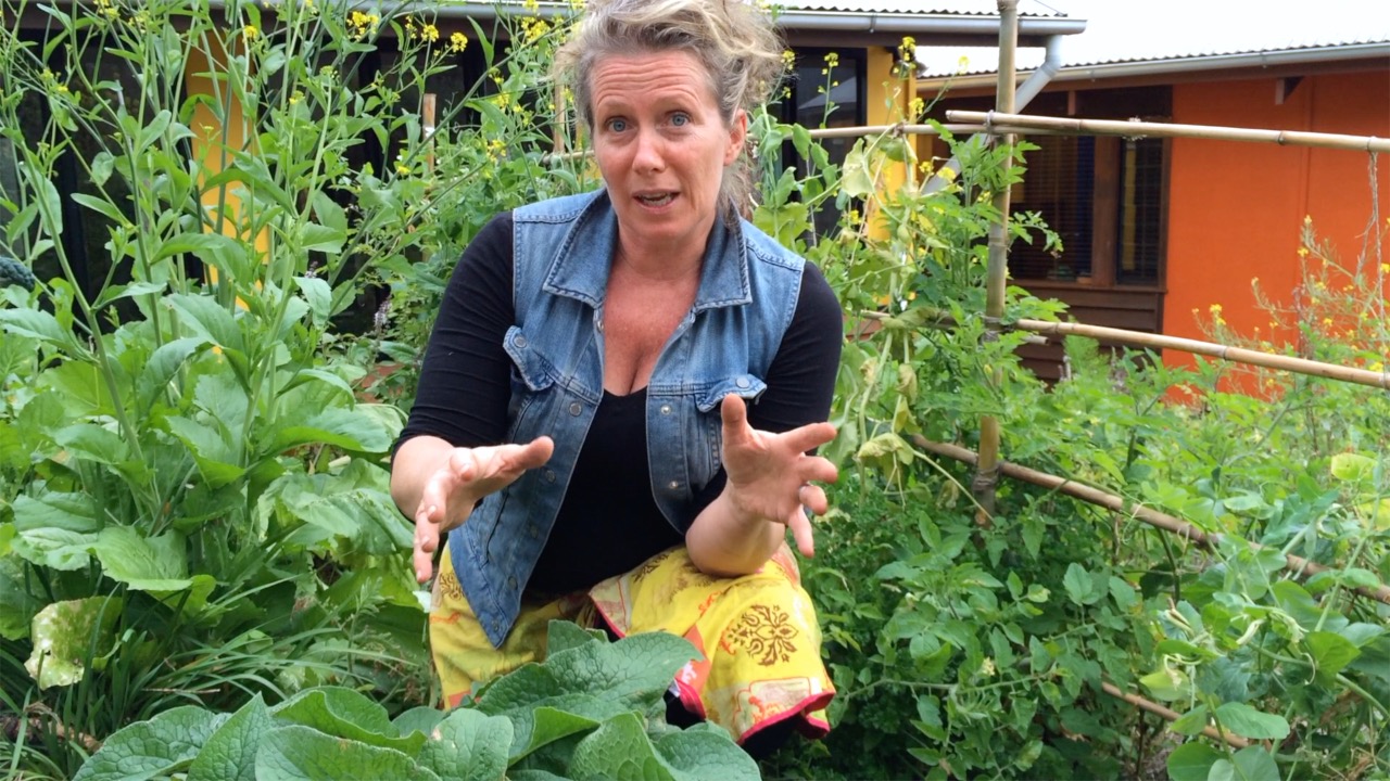 Comfrey Tea, A Simple Homemade Natural Fertiliser...