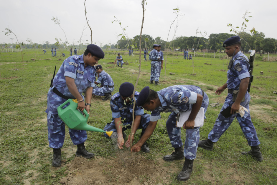 800,000 People Attempt To Plant 50 Million Trees To Break Guinness World Record...