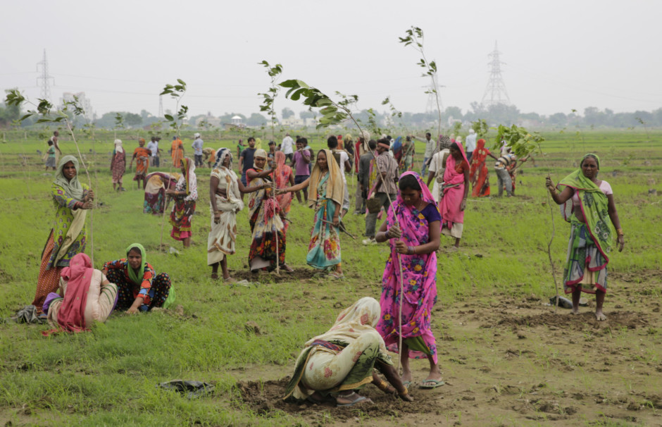 800,000 People Attempt To Plant 50 Million Trees To Break Guinness World Record...