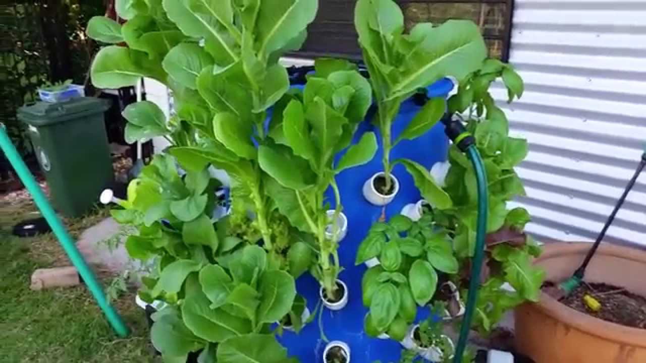 How To Build An Aeroponics Growing Tower For Vertical Gardening