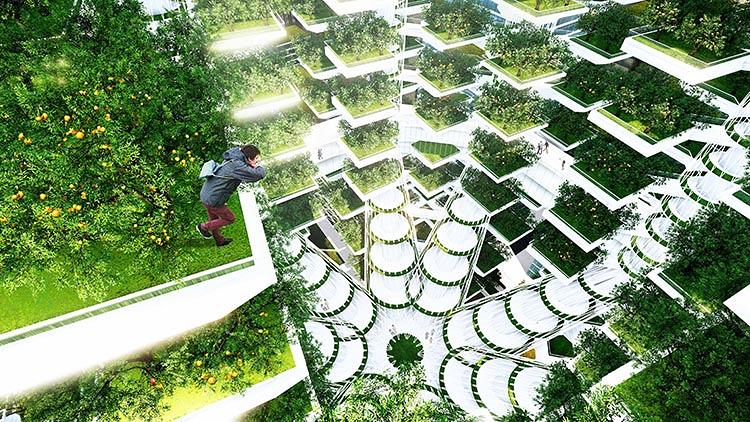 This Is The Future: Tree-Shaped Vertical Farms That Grow 24 Acres Of Crops...