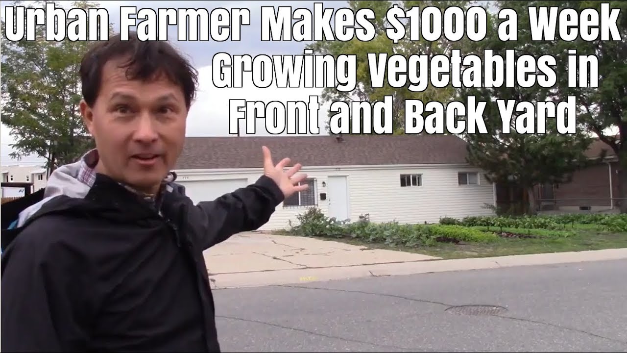 Urban Farmer Makes $1000 A Week Growing Vegetables In A Rental Home...