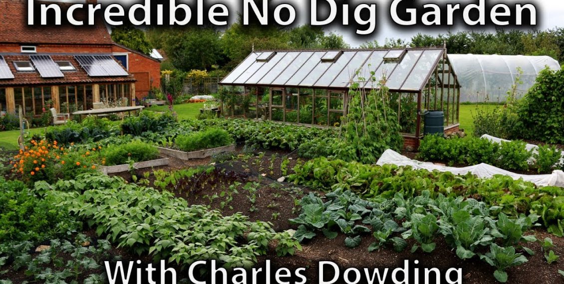 Charles Dowding’s Incredibly Productive No Dig Market Garden (1/4 Acre ...